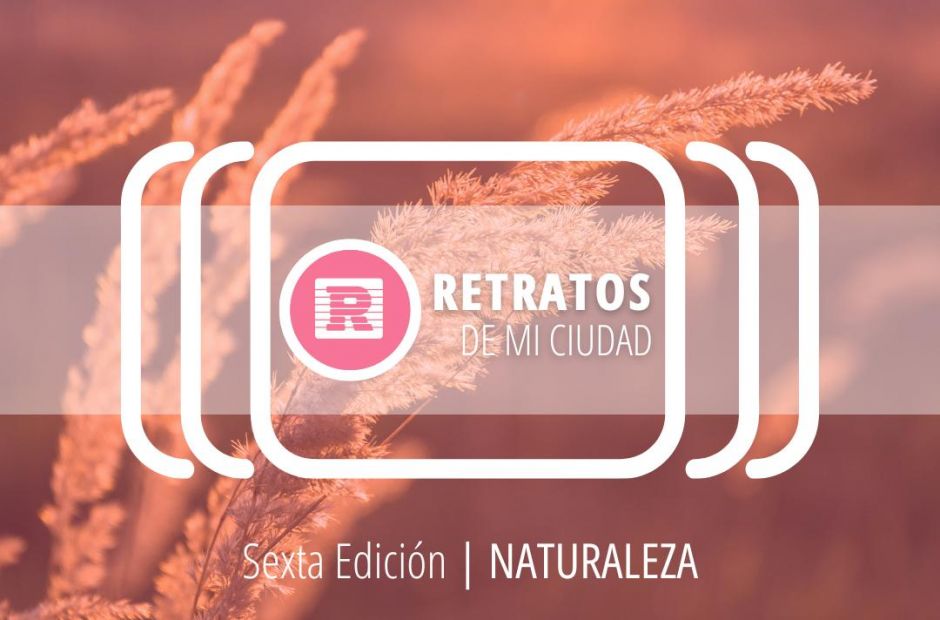 6ta Edición Concurso de Fotografía